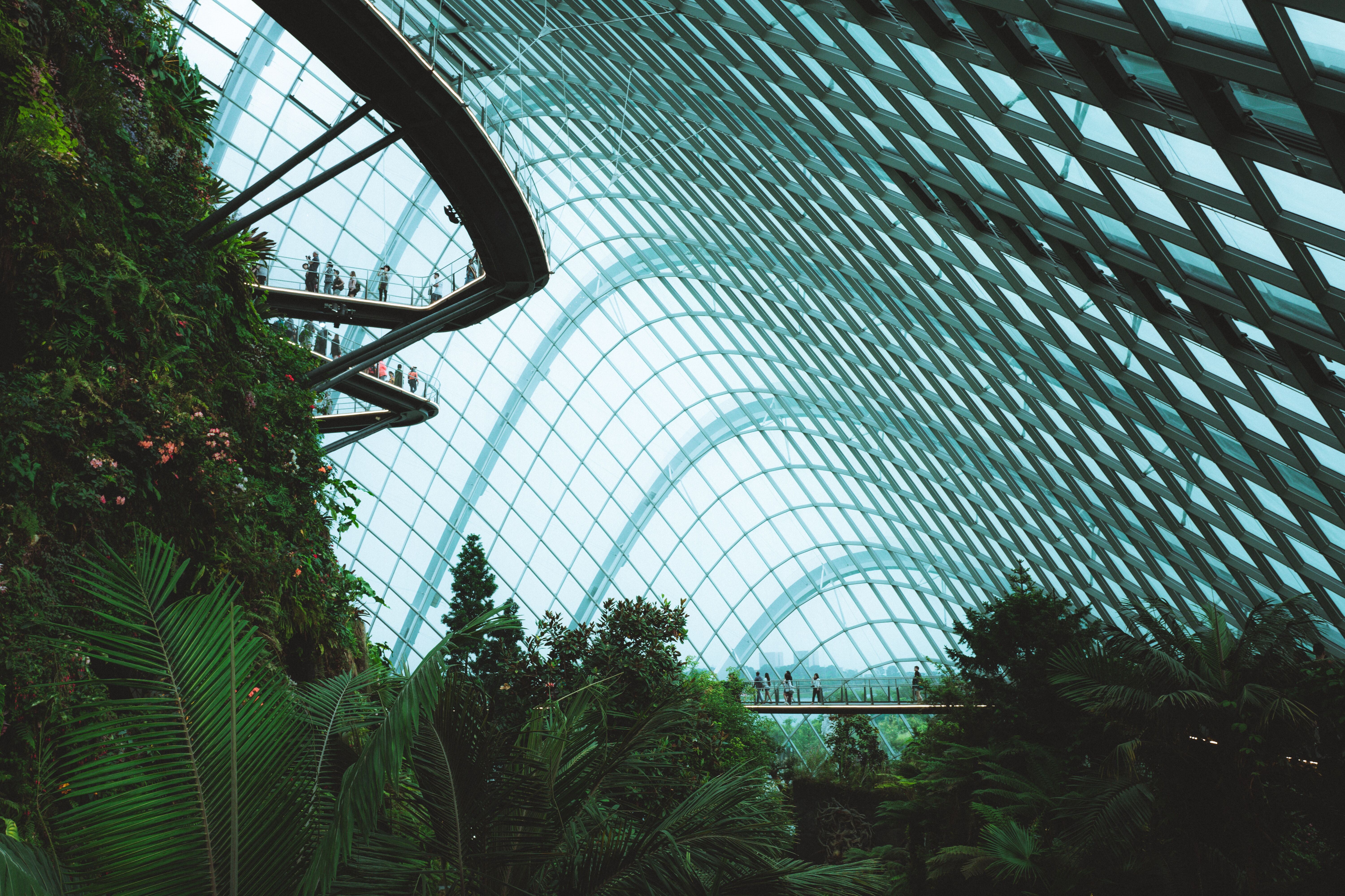 Lush greenery inside a glass biome – representing sustainable innovation